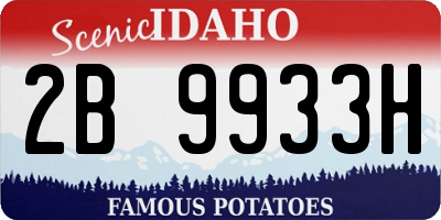 ID license plate 2B9933H