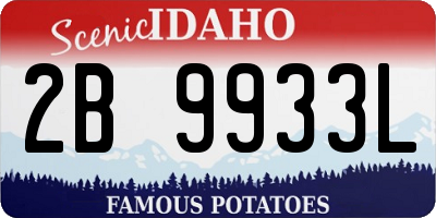 ID license plate 2B9933L