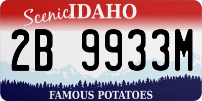 ID license plate 2B9933M