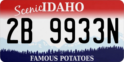 ID license plate 2B9933N