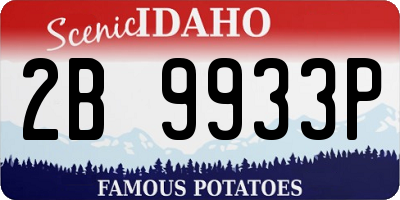 ID license plate 2B9933P