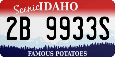 ID license plate 2B9933S
