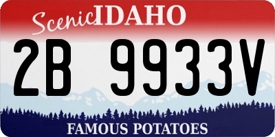 ID license plate 2B9933V