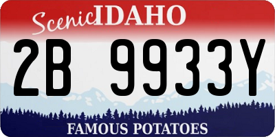 ID license plate 2B9933Y