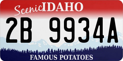 ID license plate 2B9934A