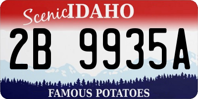 ID license plate 2B9935A