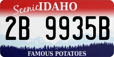 ID license plate 2B9935B