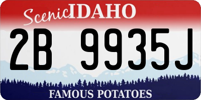ID license plate 2B9935J