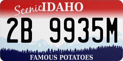 ID license plate 2B9935M