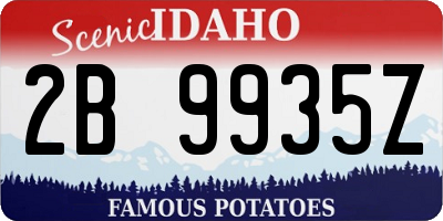 ID license plate 2B9935Z