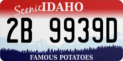 ID license plate 2B9939D