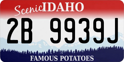 ID license plate 2B9939J