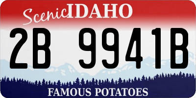ID license plate 2B9941B