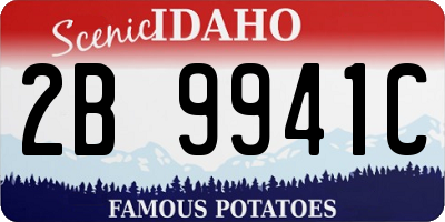 ID license plate 2B9941C