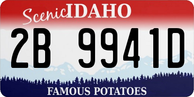 ID license plate 2B9941D