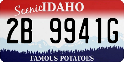 ID license plate 2B9941G