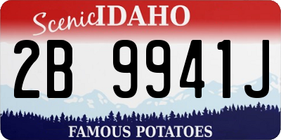 ID license plate 2B9941J