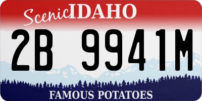 ID license plate 2B9941M
