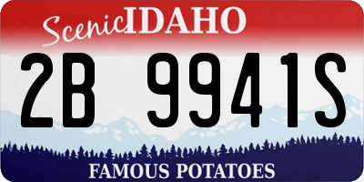 ID license plate 2B9941S