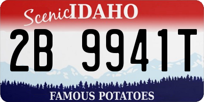 ID license plate 2B9941T