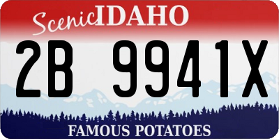 ID license plate 2B9941X