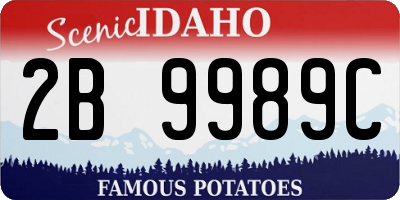 ID license plate 2B9989C