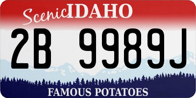 ID license plate 2B9989J