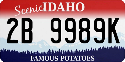 ID license plate 2B9989K