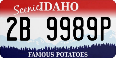 ID license plate 2B9989P
