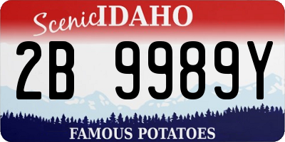 ID license plate 2B9989Y
