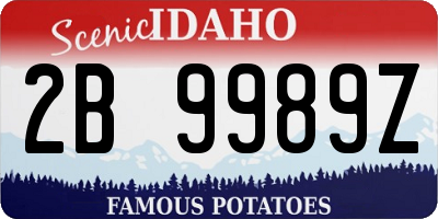 ID license plate 2B9989Z
