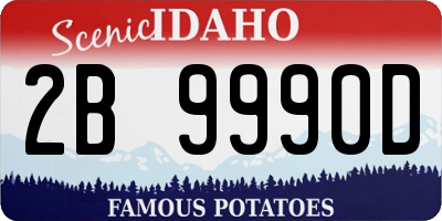 ID license plate 2B9990D