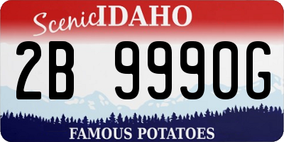ID license plate 2B9990G