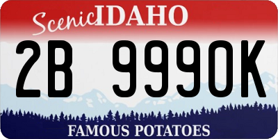 ID license plate 2B9990K