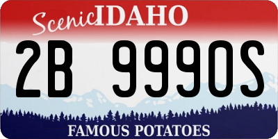 ID license plate 2B9990S
