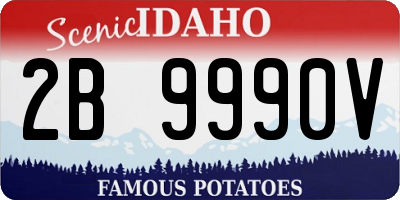 ID license plate 2B9990V