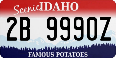 ID license plate 2B9990Z