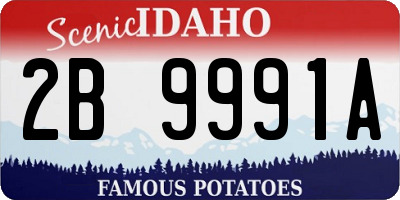 ID license plate 2B9991A