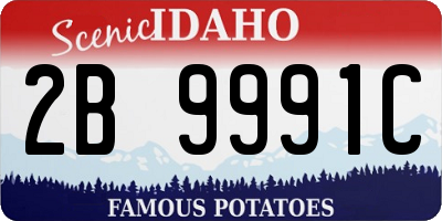 ID license plate 2B9991C