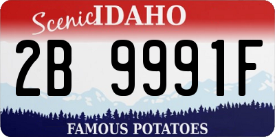 ID license plate 2B9991F
