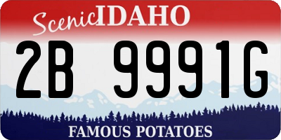 ID license plate 2B9991G
