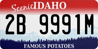 ID license plate 2B9991M