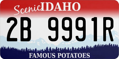 ID license plate 2B9991R