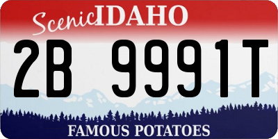 ID license plate 2B9991T