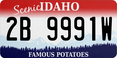 ID license plate 2B9991W
