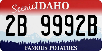 ID license plate 2B9992B