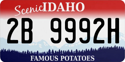 ID license plate 2B9992H