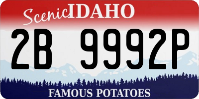 ID license plate 2B9992P