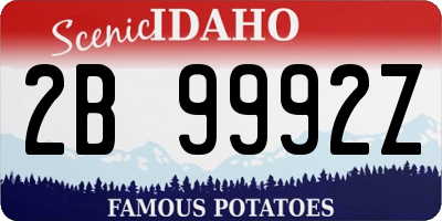 ID license plate 2B9992Z