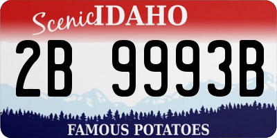 ID license plate 2B9993B